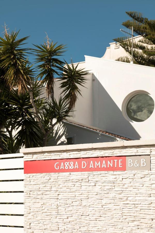 B&B Gassa D'Amante Vieste Luaran gambar